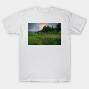 Alpine Meadow Sunrise T-Shirt